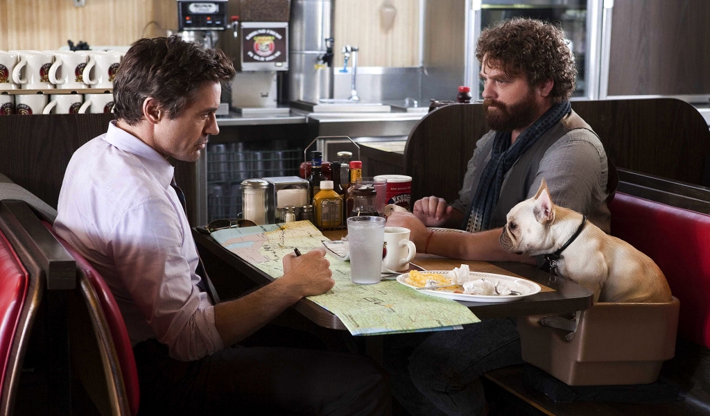 Due Date Movie for 1024 x 600 widescreen resolution
