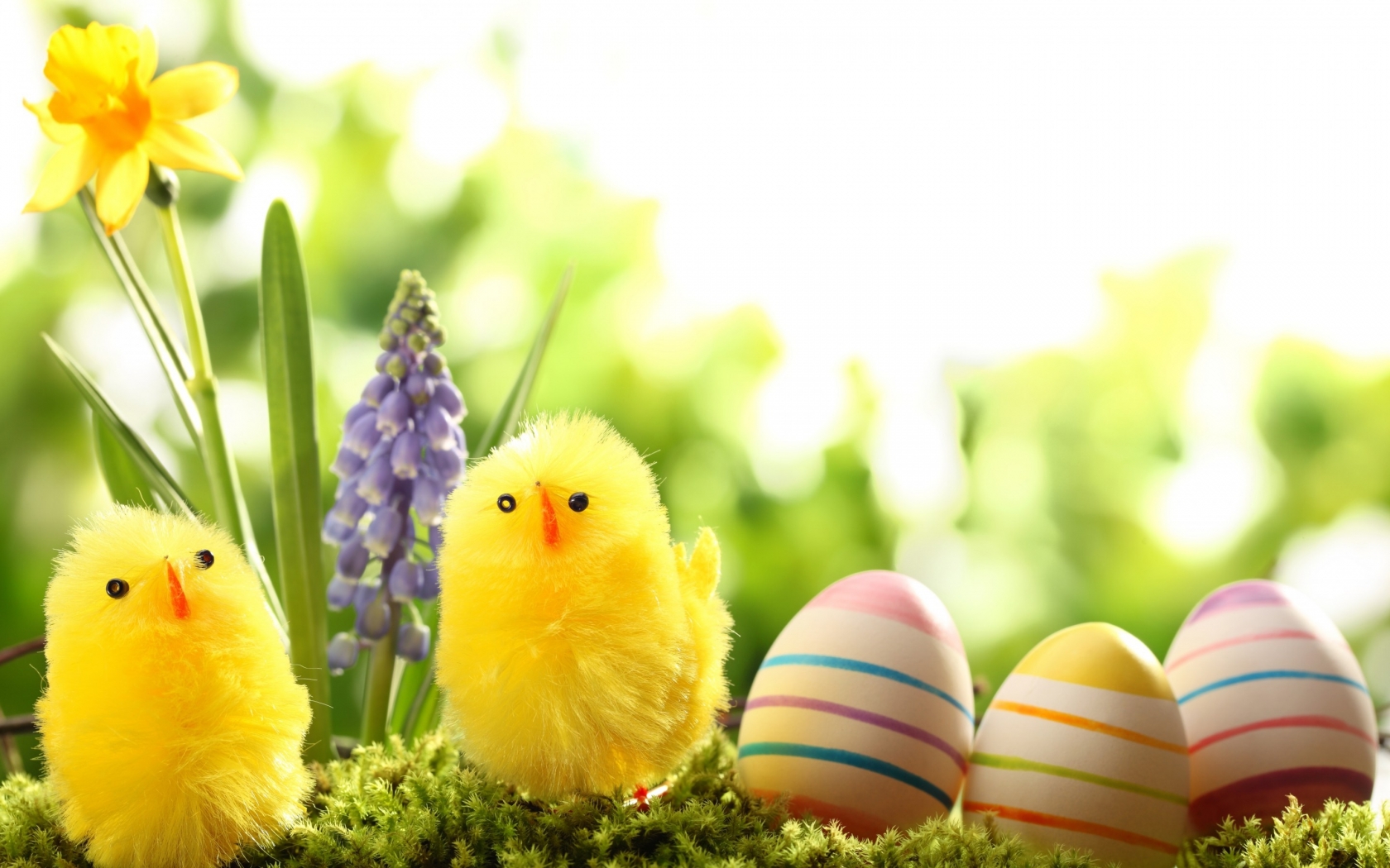 Easter Basket Decoration for 1680 x 1050 widescreen resolution