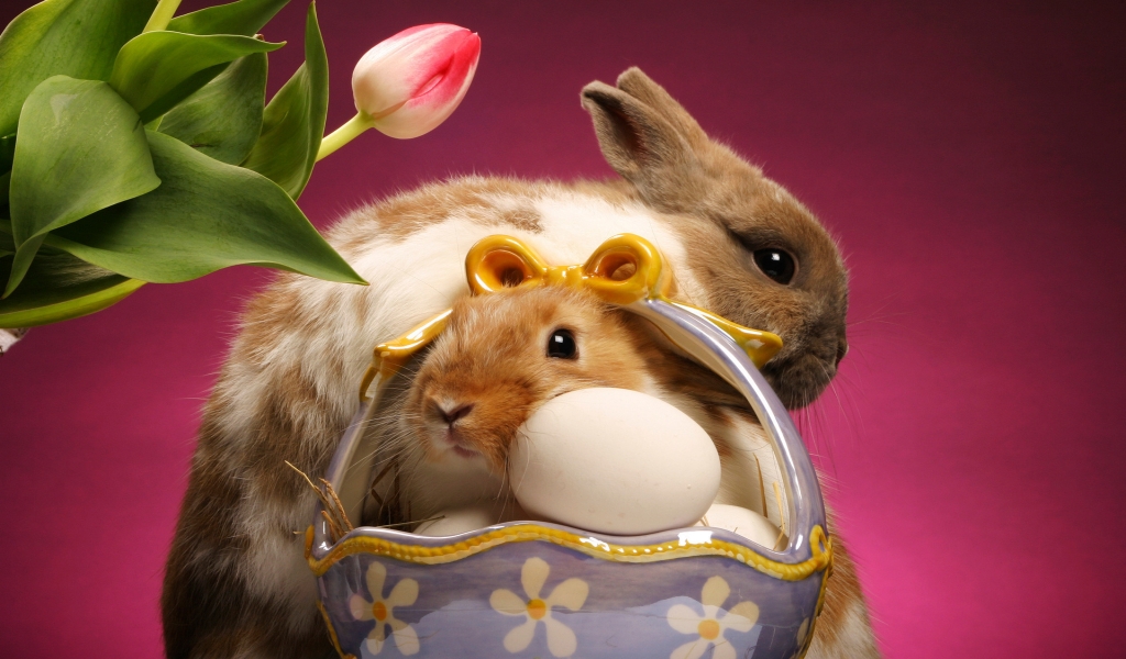 Easter Bunnies for 1024 x 600 widescreen resolution