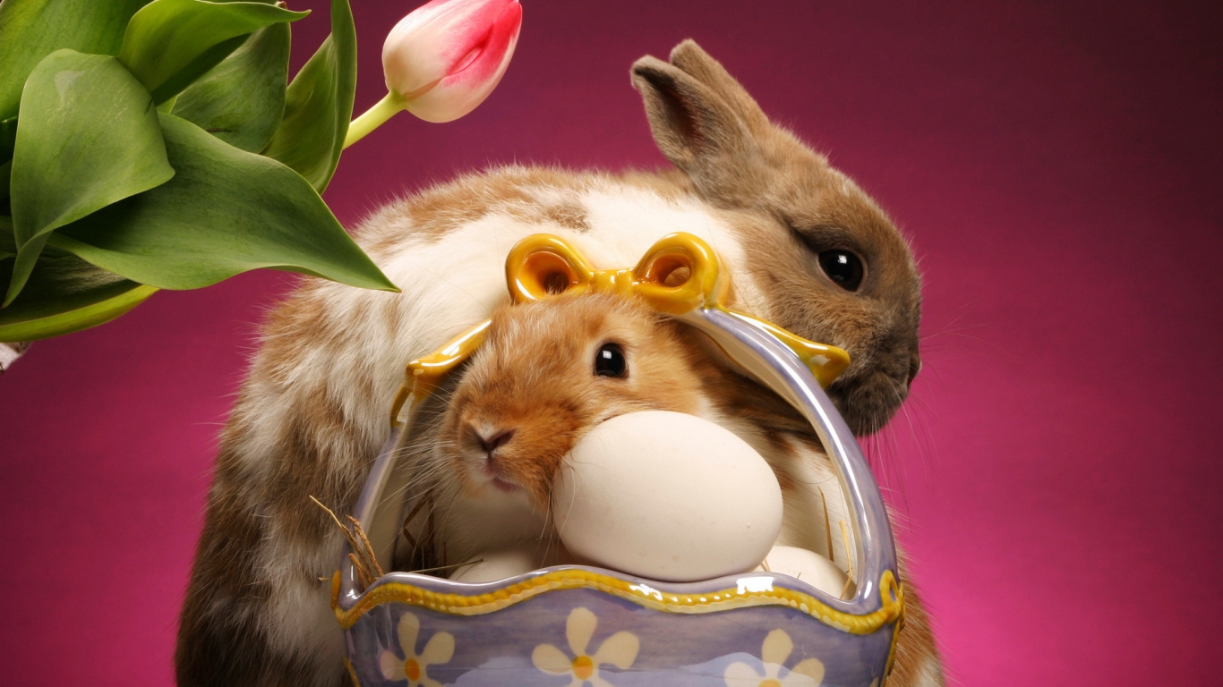 Easter Bunnies for 1366 x 768 HDTV resolution