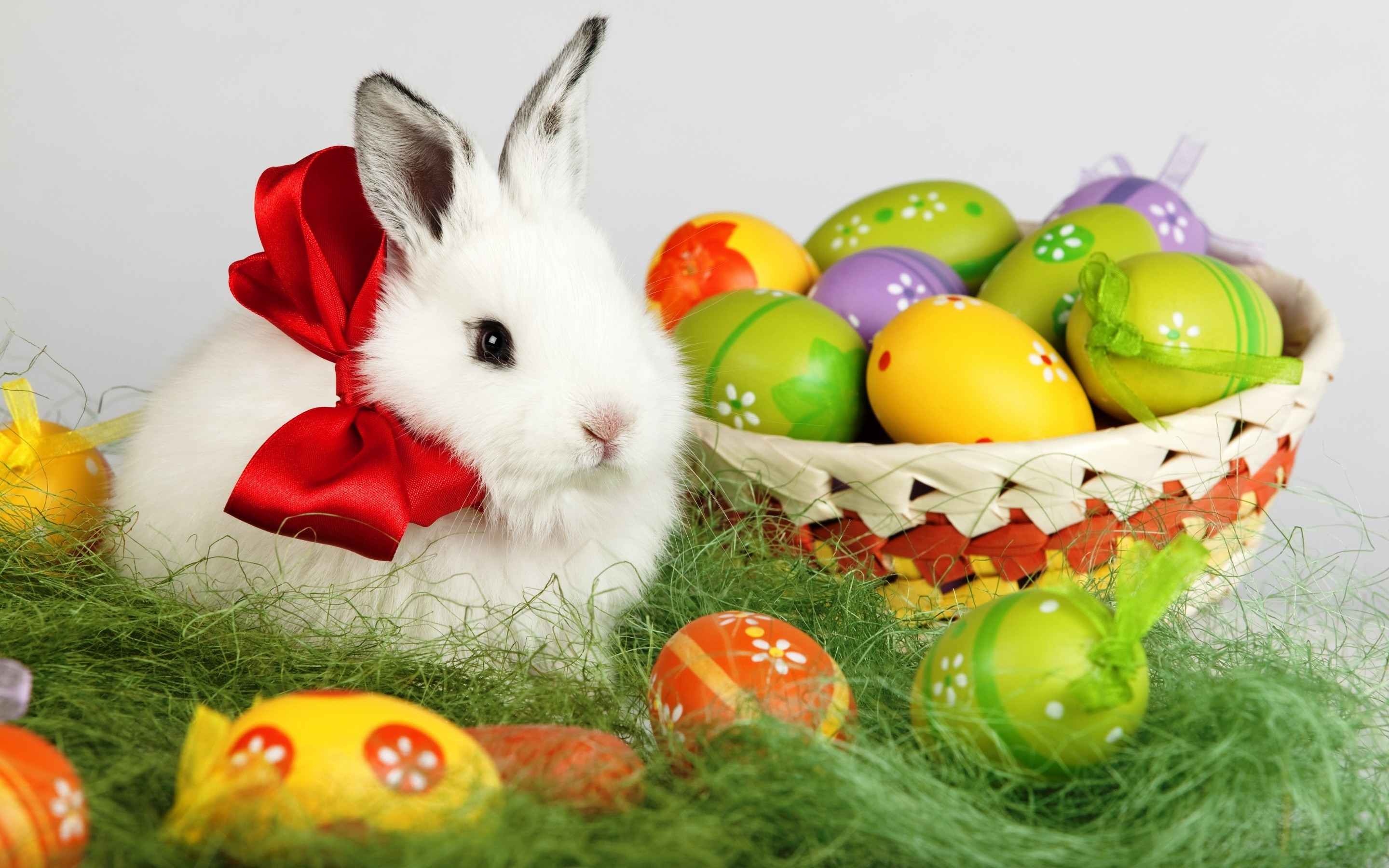 Easter White Rabbit for 2880 x 1800 Retina Display resolution