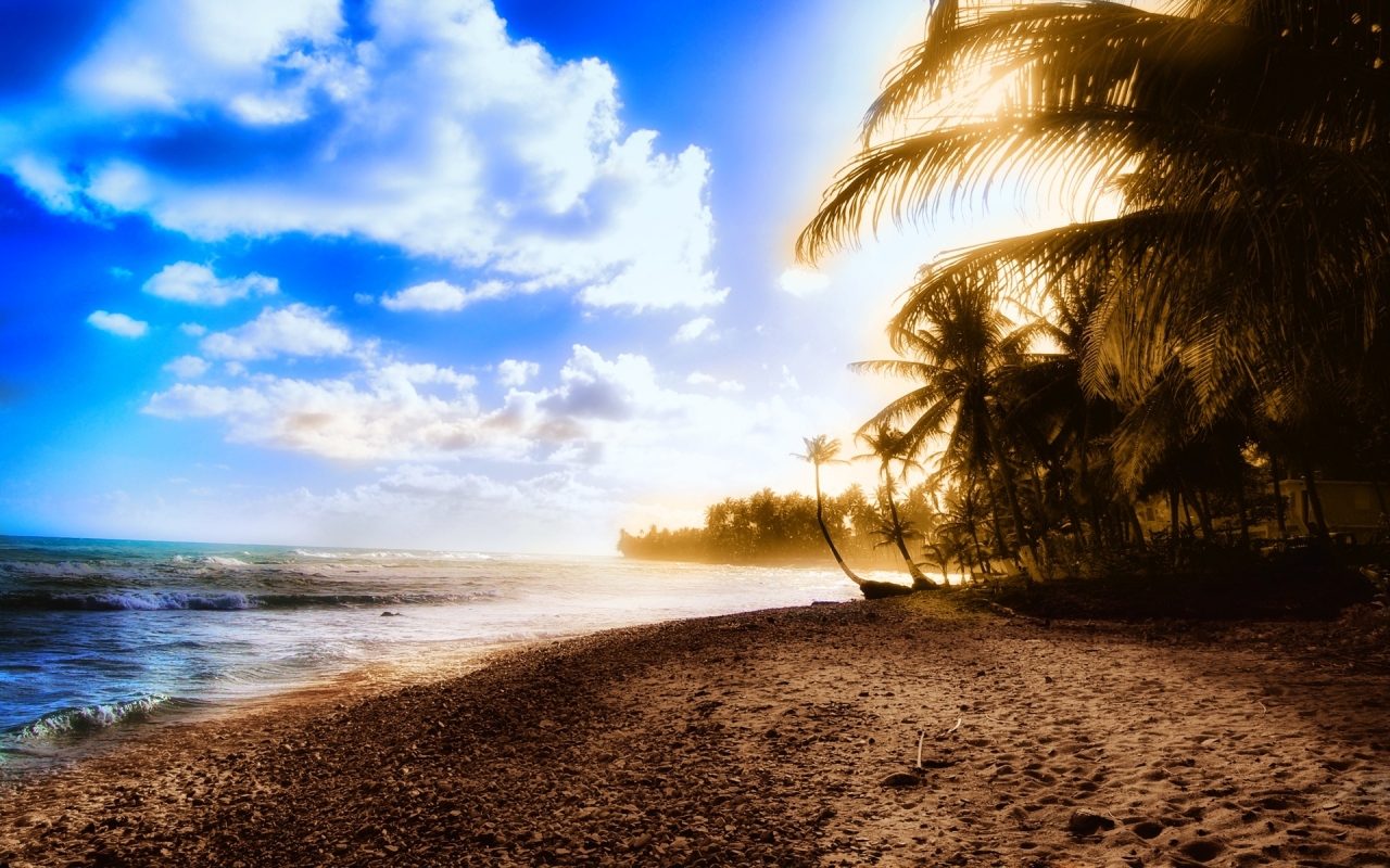 Exotic beach for 1280 x 800 widescreen resolution