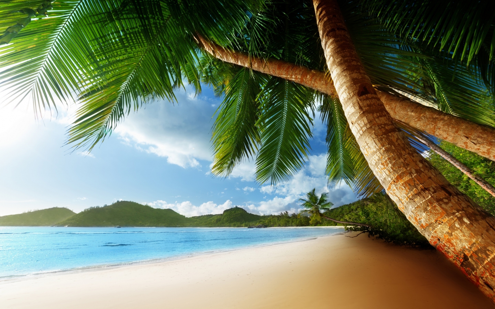 Exotic Palm Island for 1680 x 1050 widescreen resolution