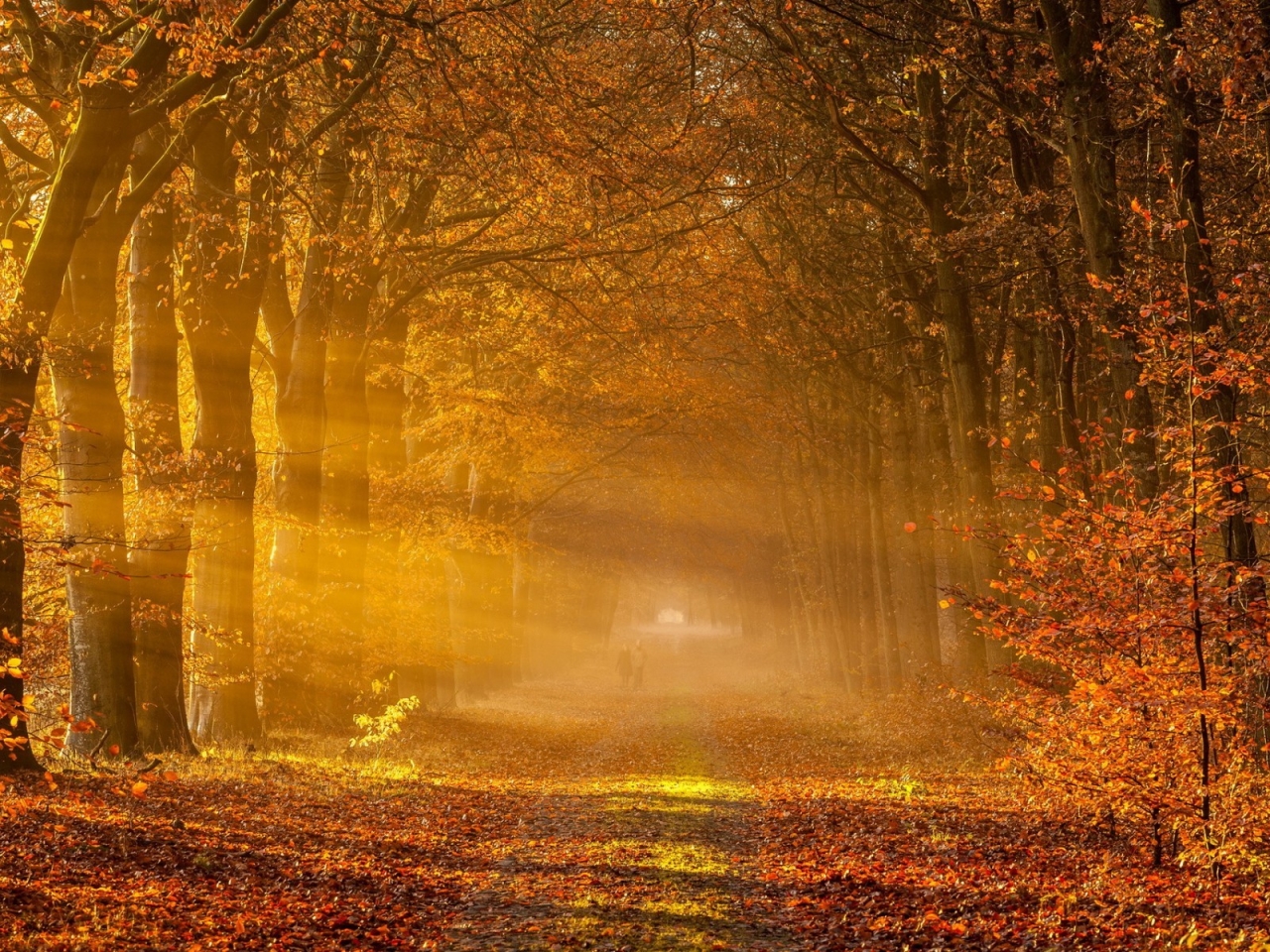 Fantastic Autumn Landscape for 1280 x 960 resolution