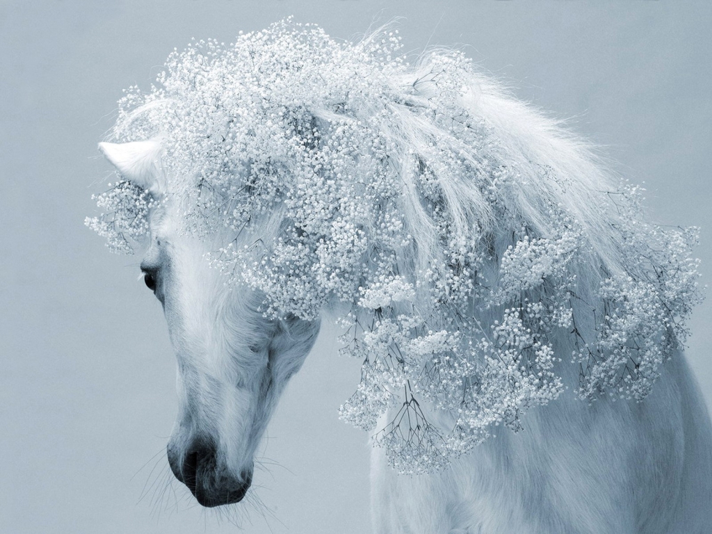 Fantasy real Horse for 1024 x 768 resolution
