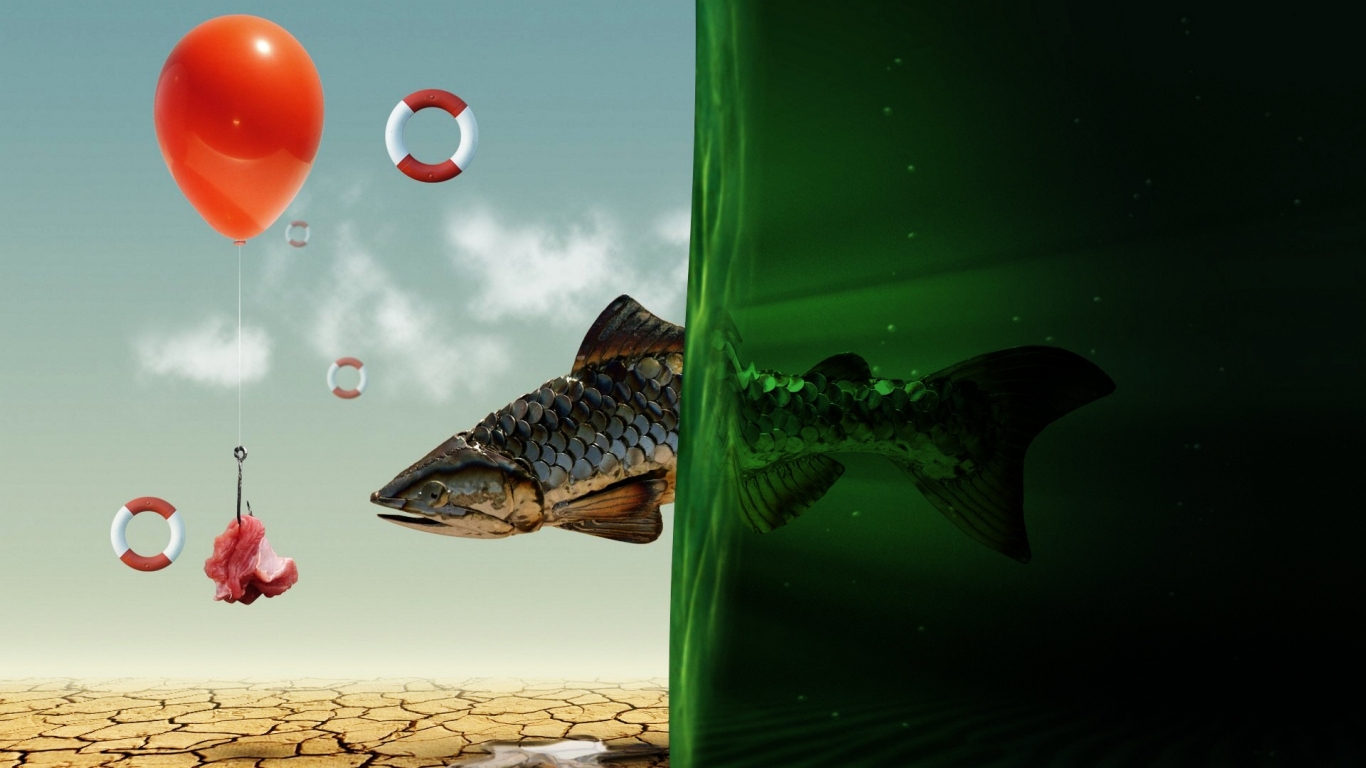 Fish Dreaming for 1366 x 768 HDTV resolution