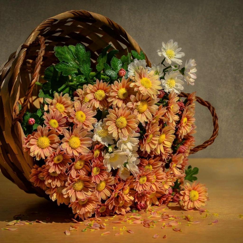 Flowers Basket for 1024 x 1024 iPad resolution