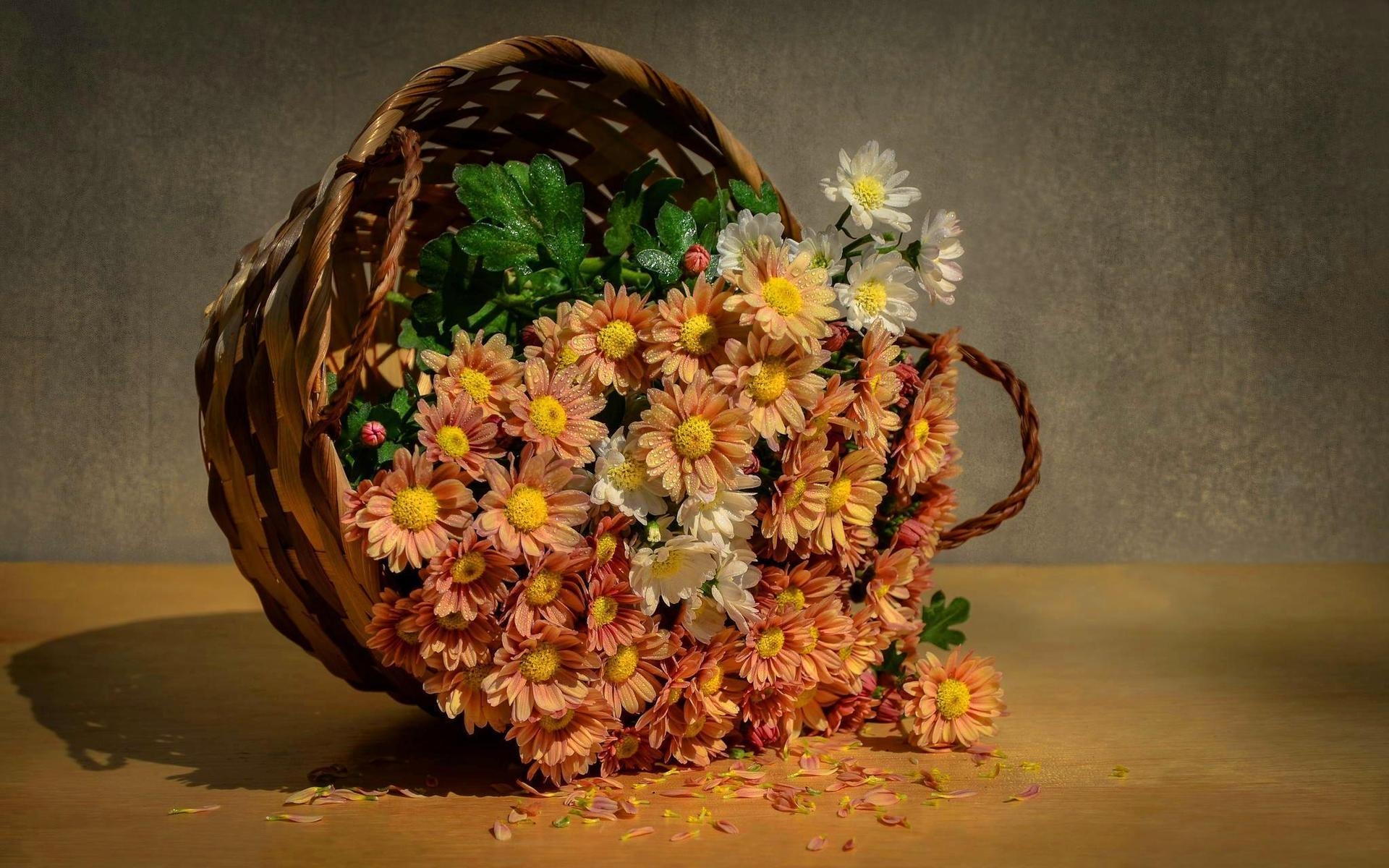 Flowers Basket for 1920 x 1200 widescreen resolution