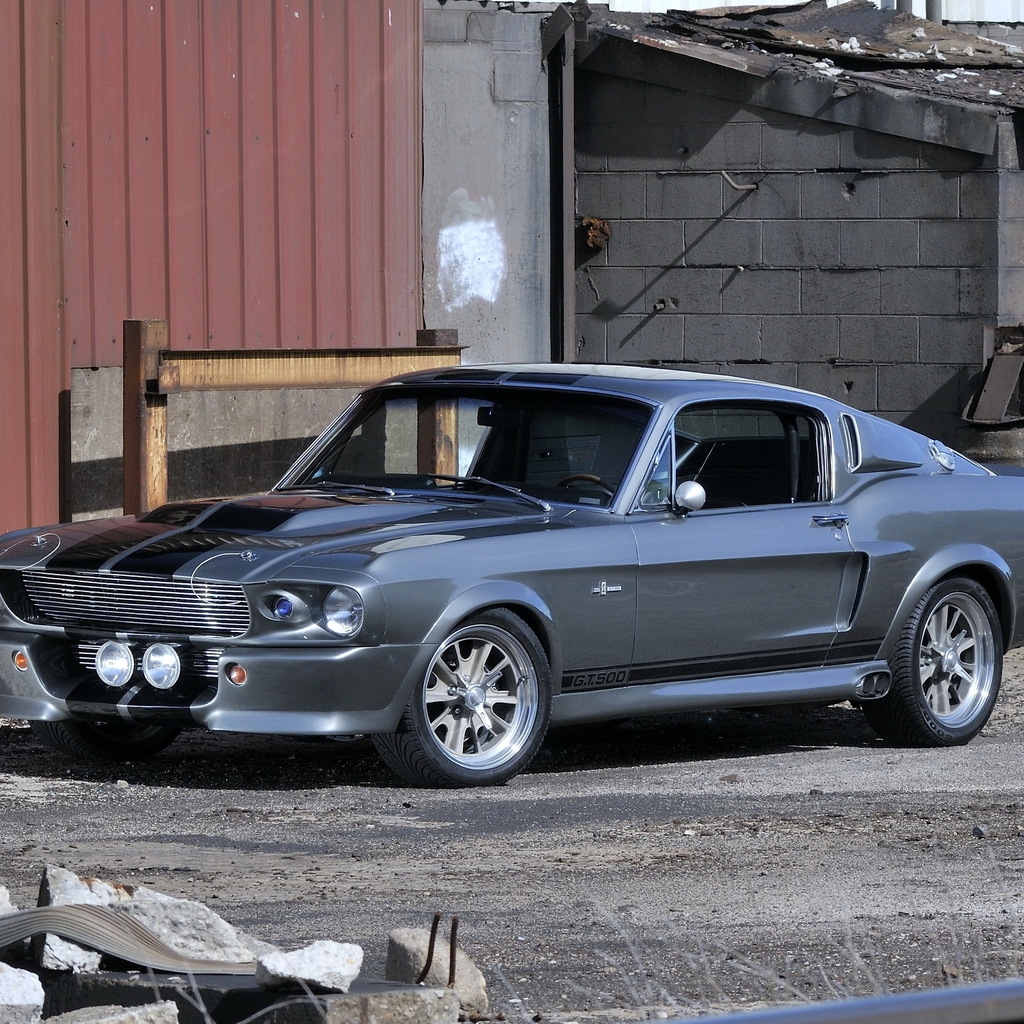 Ford Mustang GT500 Eleanor for 1024 x 1024 iPad resolution