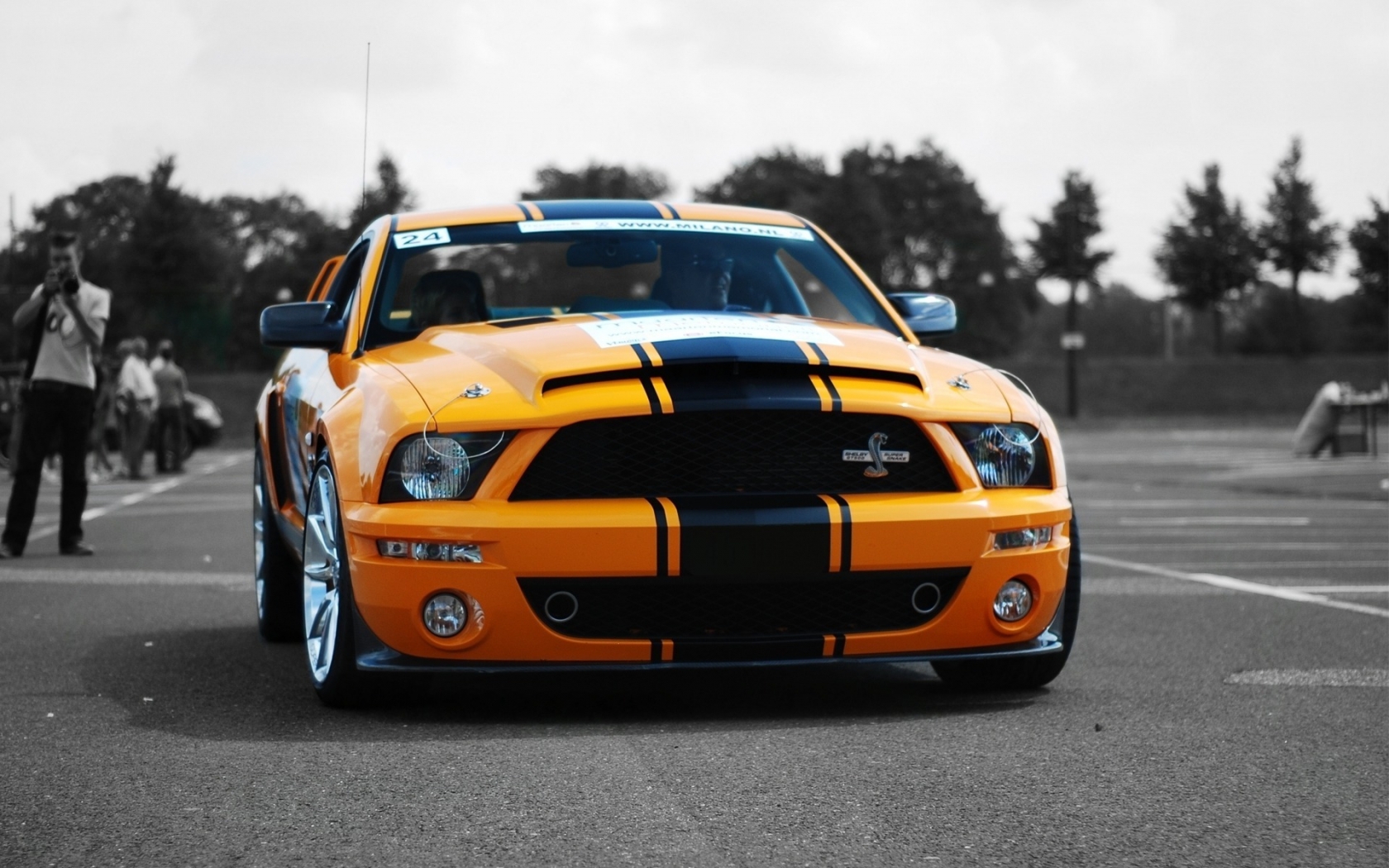 Ford Shelby GT500 for 1680 x 1050 widescreen resolution