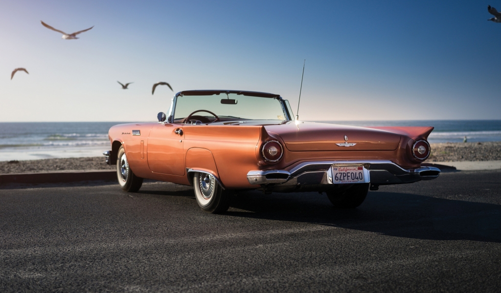 Ford Thunderbird for 1024 x 600 widescreen resolution