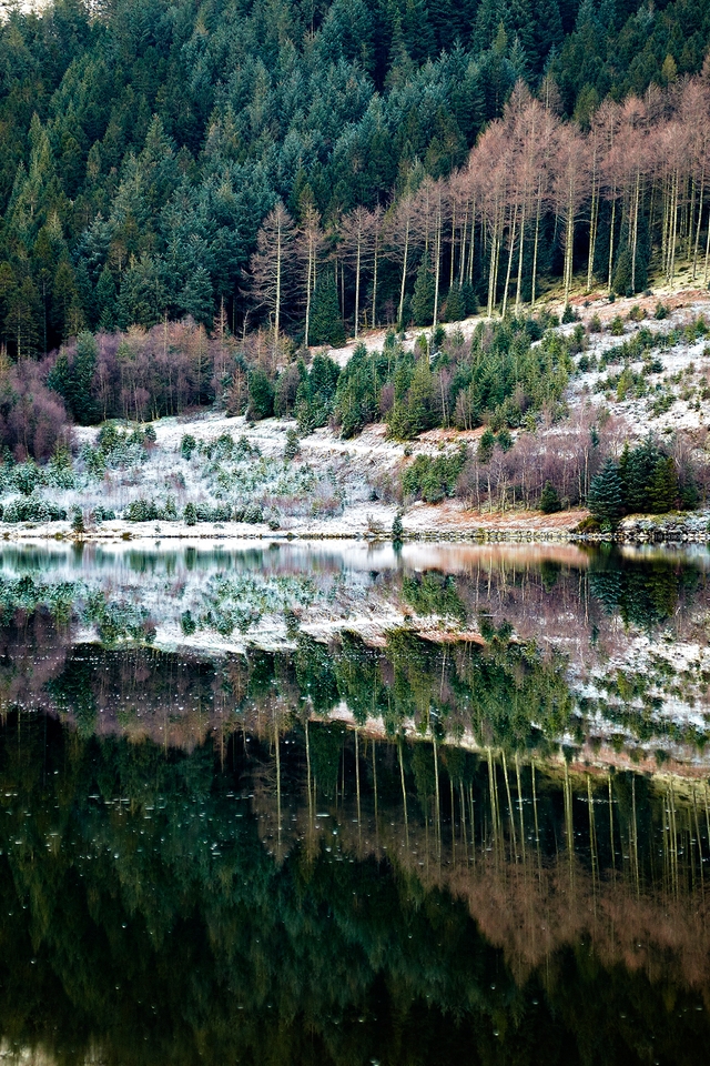 Forest Reflection for 640 x 960 iPhone 4 resolution