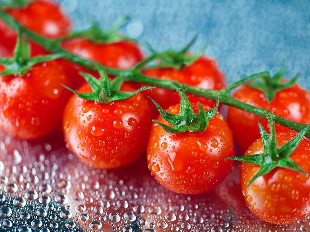 Fresh Cherry Tomatoes for 1024 x 768 resolution