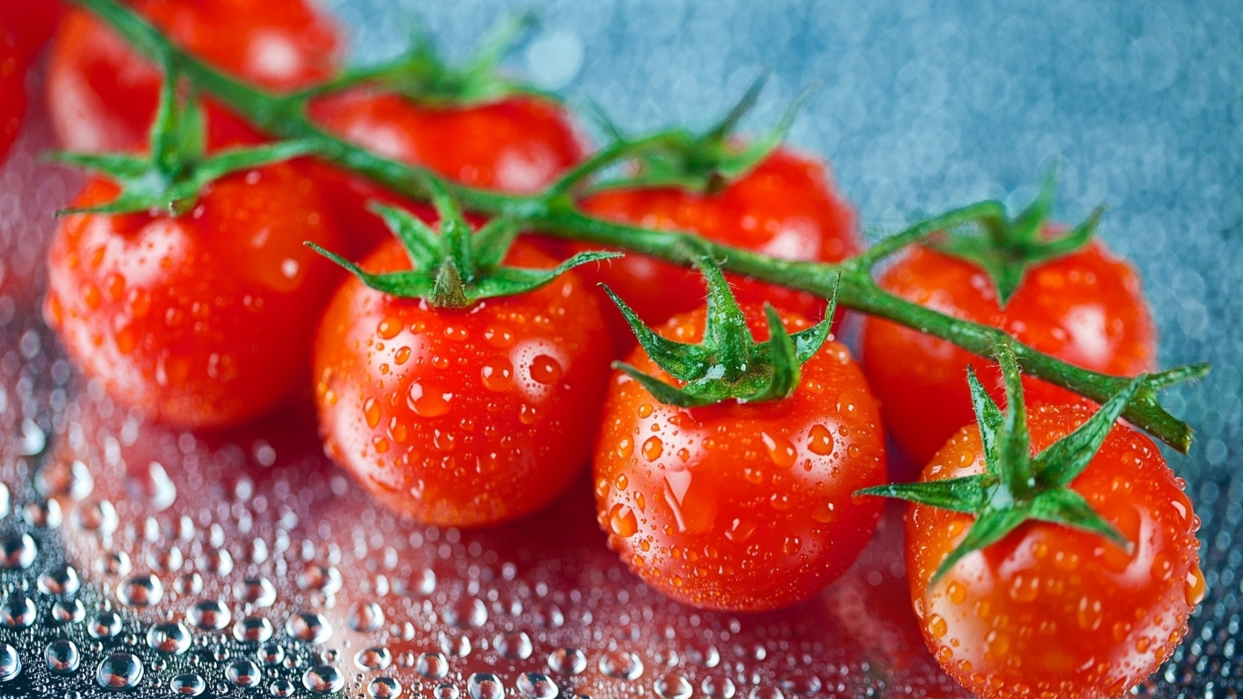 Fresh Cherry Tomatoes for 1366 x 768 HDTV resolution