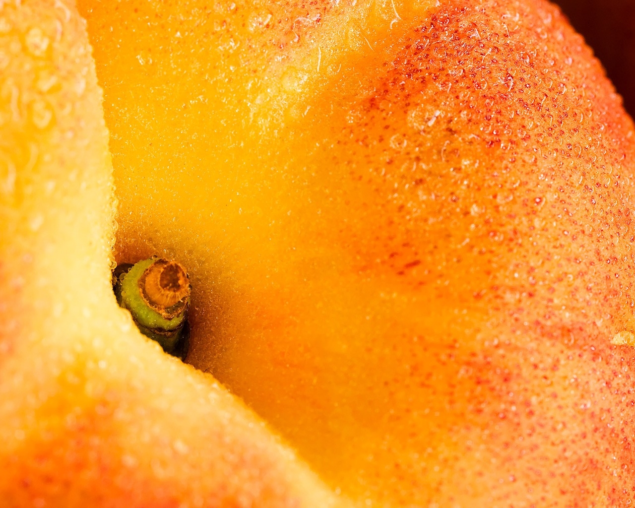 Fresh Peach for 1280 x 1024 resolution