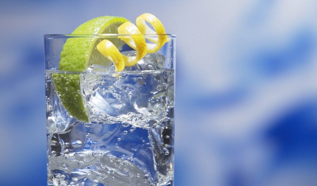 Gin and Tonic Cocktail for 1024 x 600 widescreen resolution