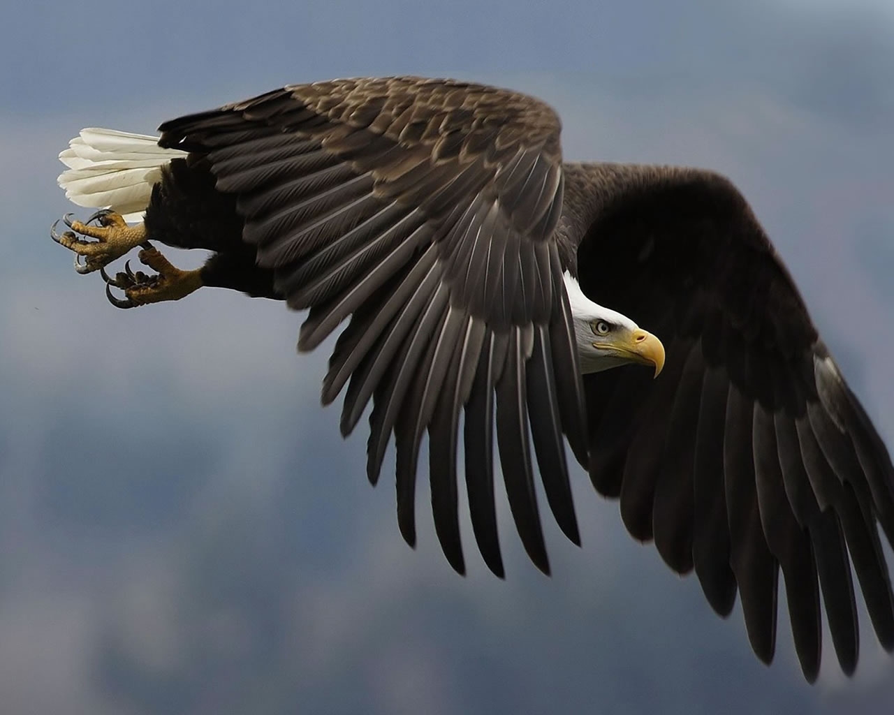 Great Eagle for 1280 x 1024 resolution