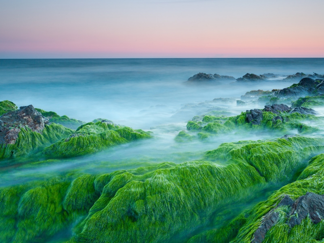Green Algae On Rocks for 1280 x 960 resolution