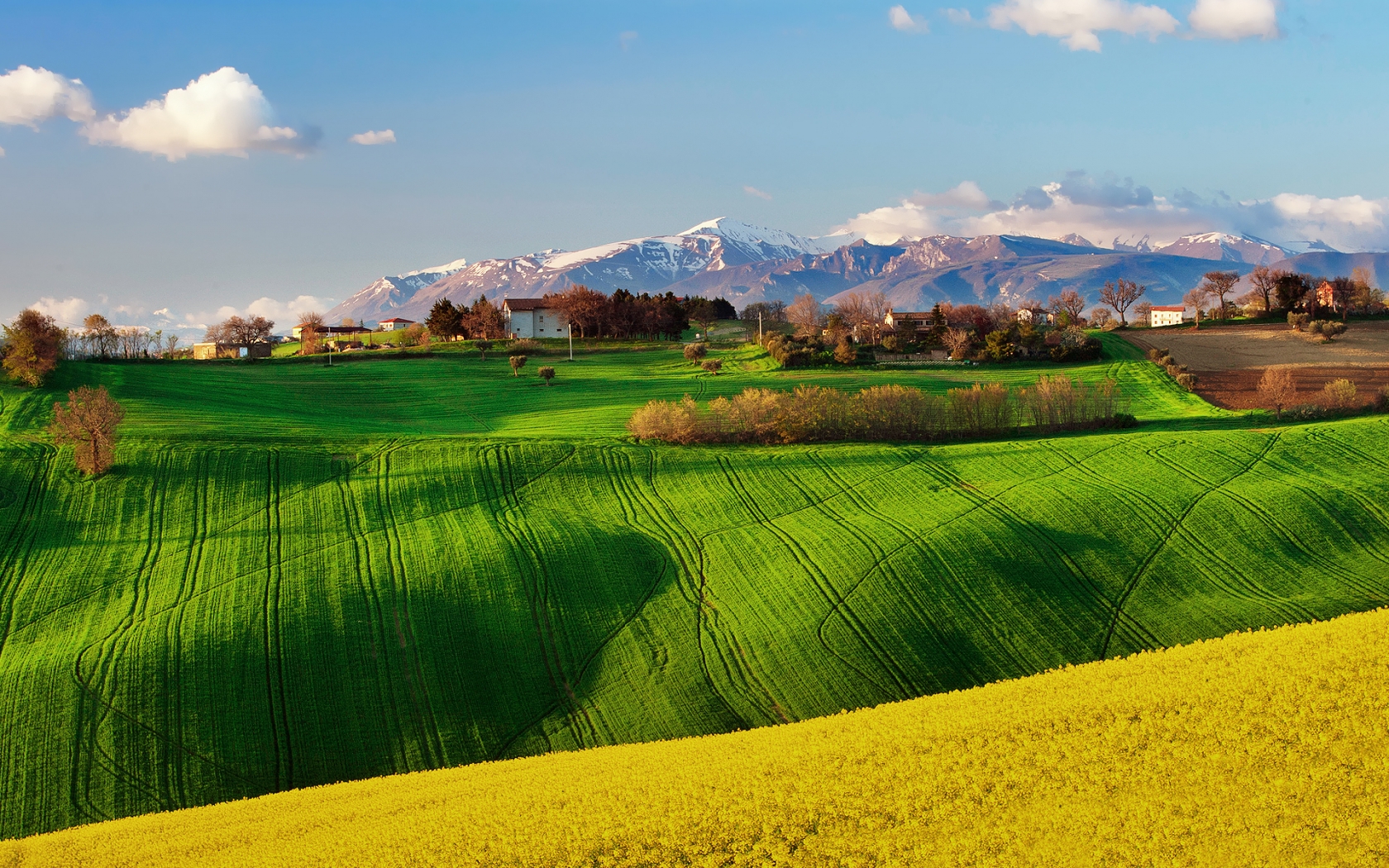 Green Field Landscape for 1680 x 1050 widescreen resolution