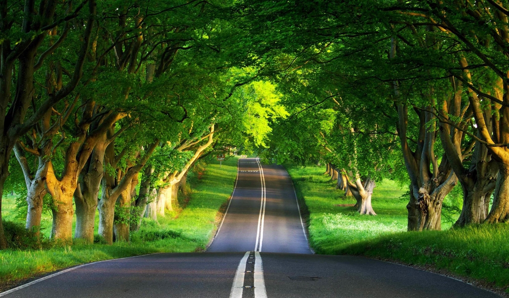 Green Road for 1024 x 600 widescreen resolution