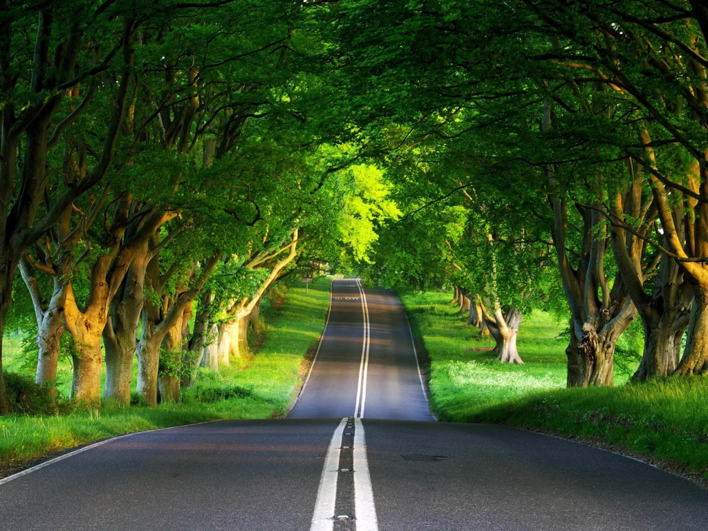 Green Road for 1024 x 768 resolution