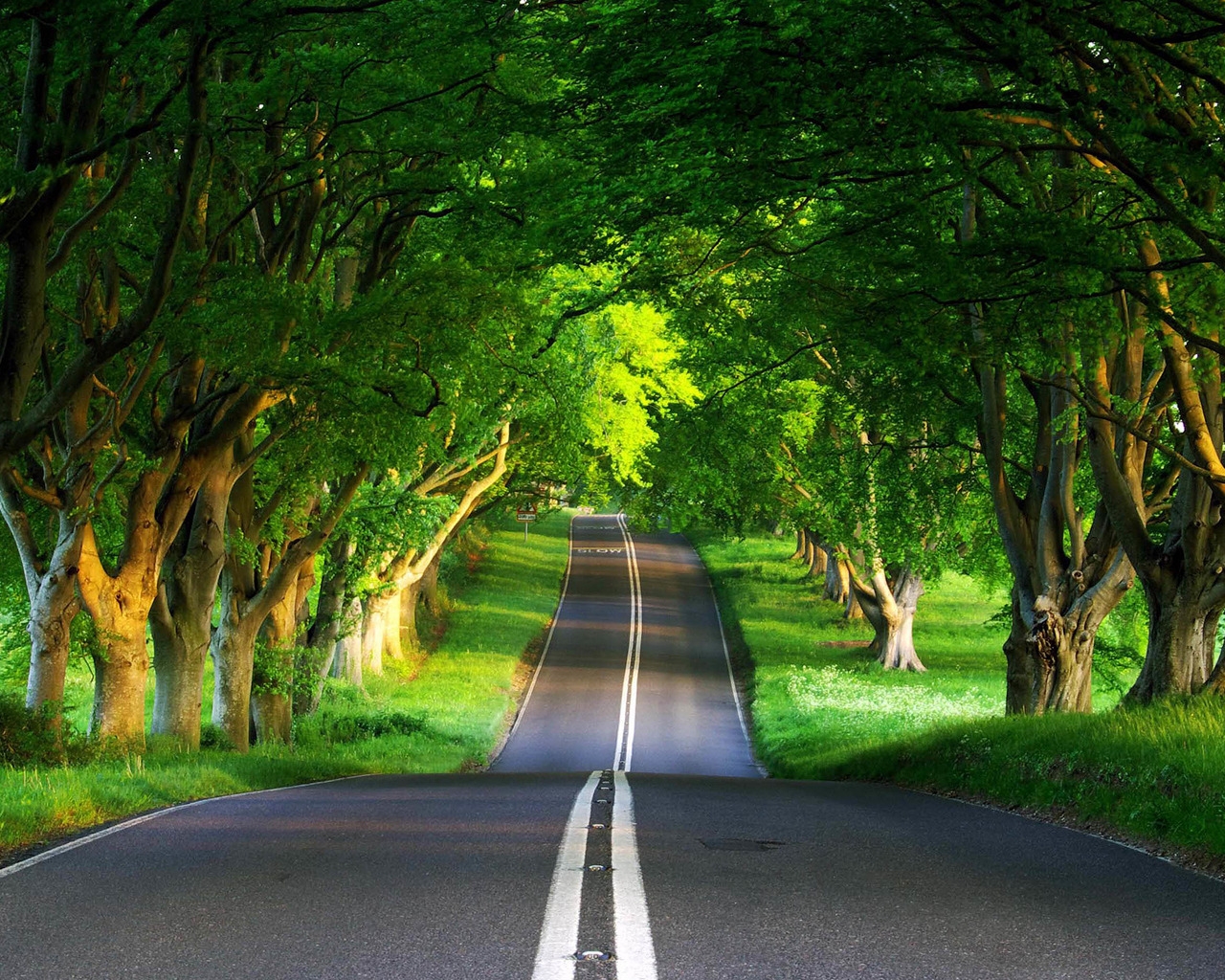 Green Road for 1280 x 1024 resolution