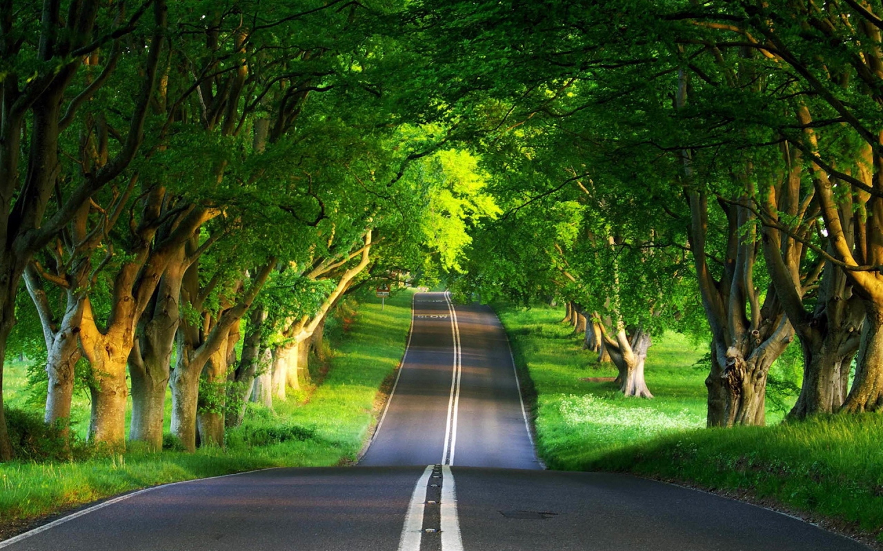 Green Road for 1280 x 800 widescreen resolution