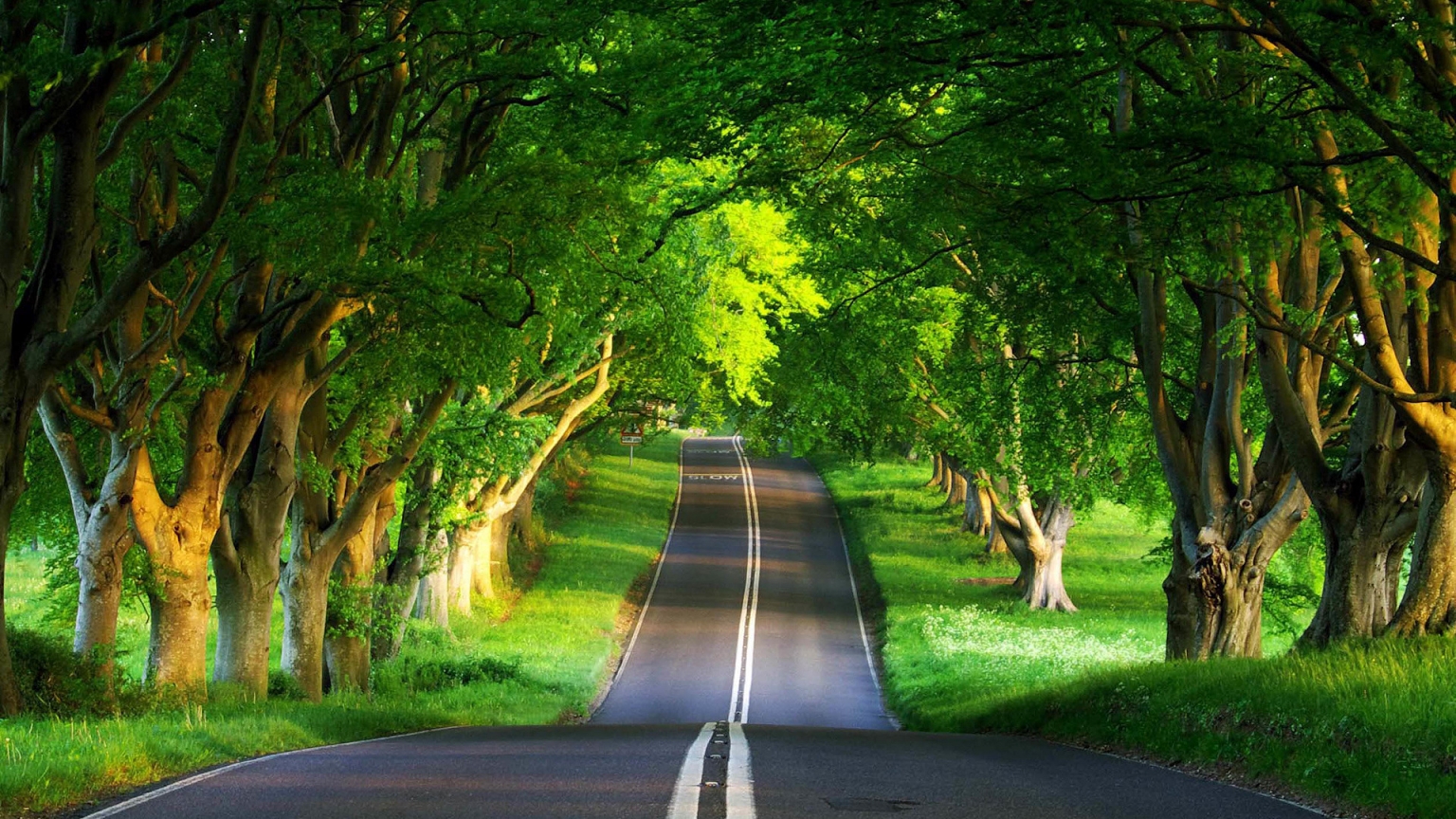 Green Road for 1536 x 864 HDTV resolution