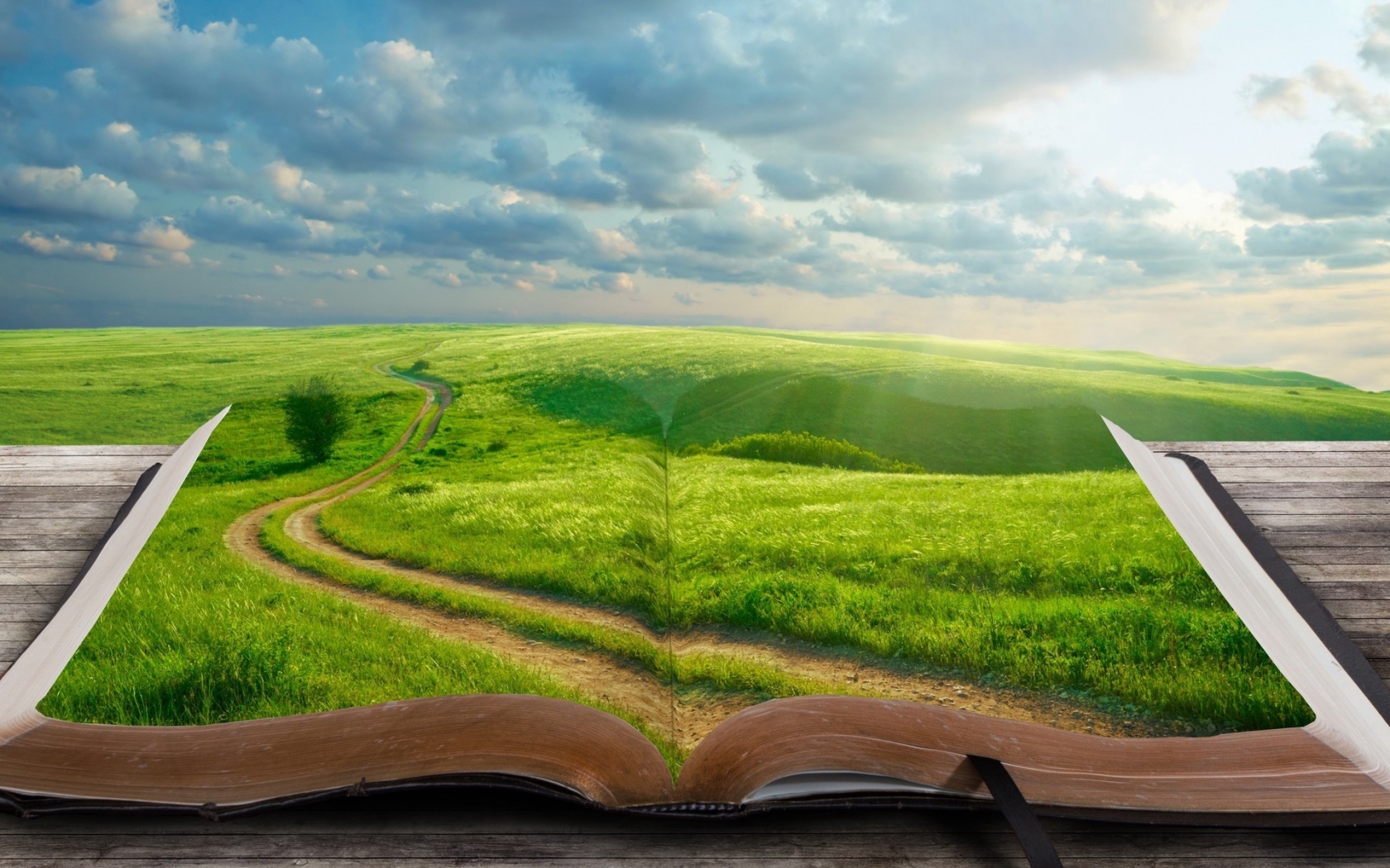 Green World Book for 1680 x 1050 widescreen resolution