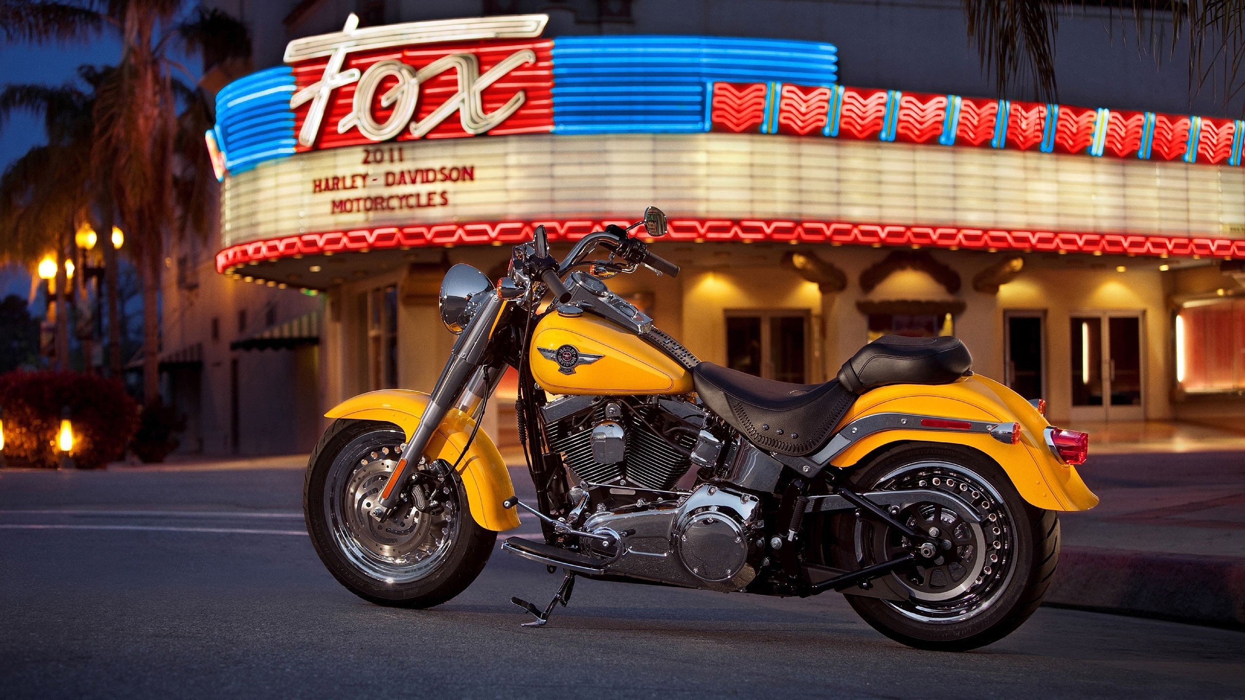 Harley Davidson Fatboy for 2560x1440 HDTV resolution