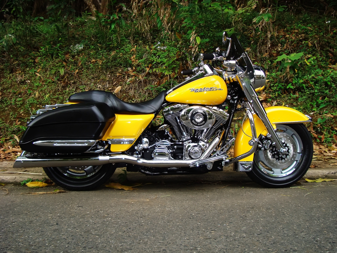 Harley Davidson Road King Yellow for 1152 x 864 resolution