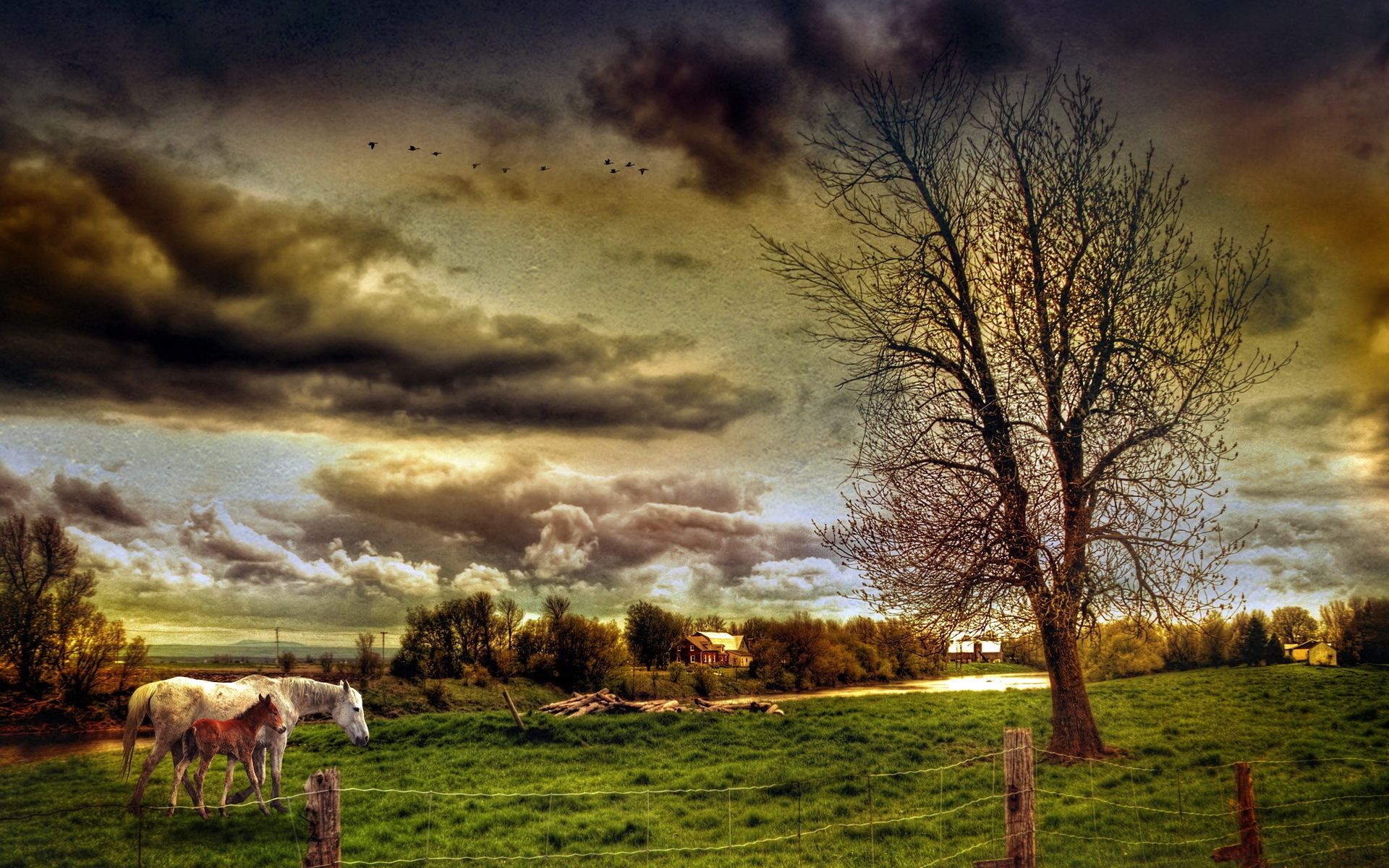 HDR Countryside Landscape for 1920 x 1200 widescreen resolution