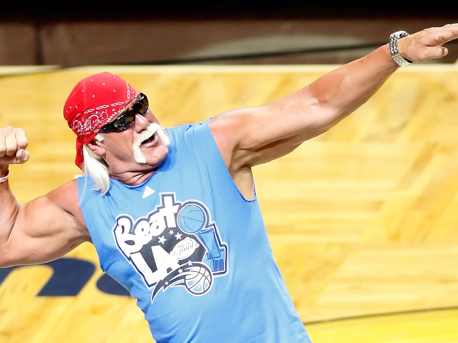 Hulk Hogan for 1600 x 1200 resolution
