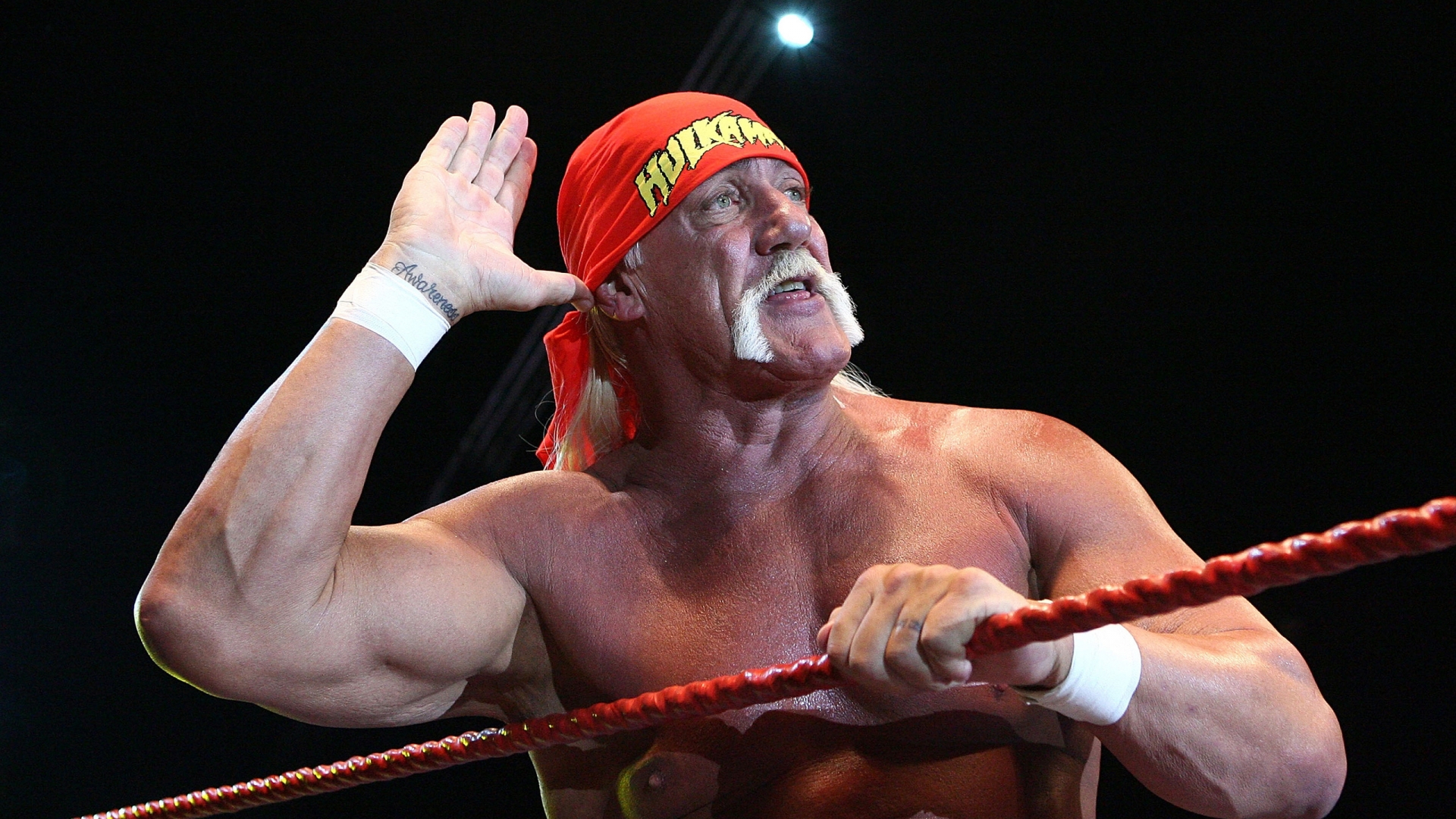 Hulk Hogan Salute for 1920 x 1080 HDTV 1080p resolution