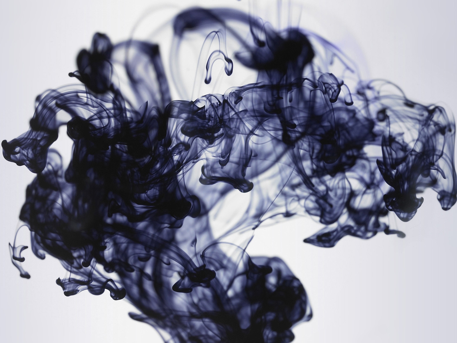 Ink Smoke for 1600 x 1200 resolution