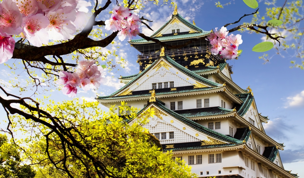 Japanese Castle for 1024 x 600 widescreen resolution