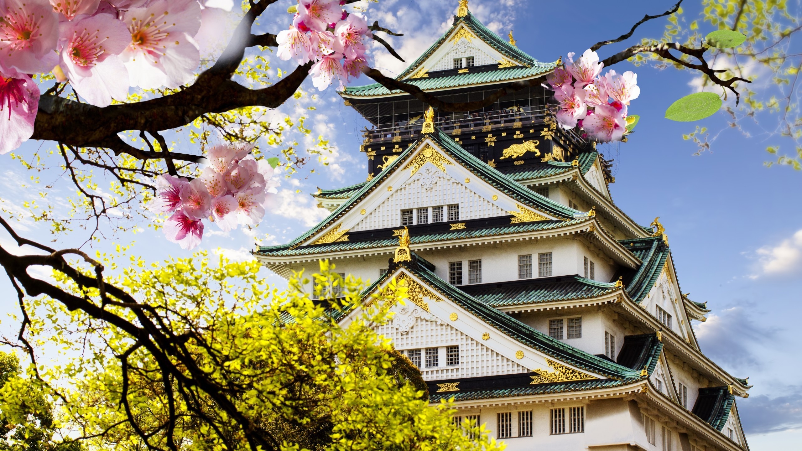 Japanese Castle for 2560x1440 HDTV resolution