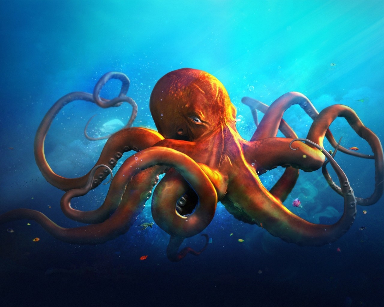 Just an Octopus for 1280 x 1024 resolution