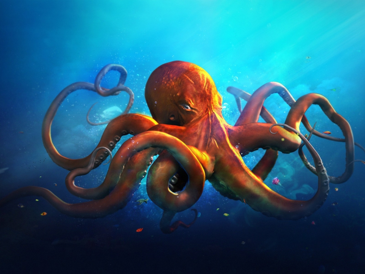 Just an Octopus for 1280 x 960 resolution