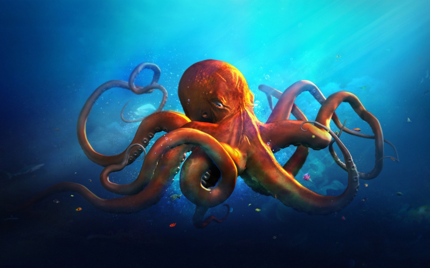 Just an Octopus for 1440 x 900 widescreen resolution