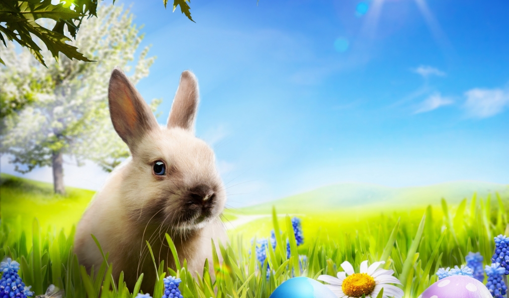Little Rabbit for 1024 x 600 widescreen resolution
