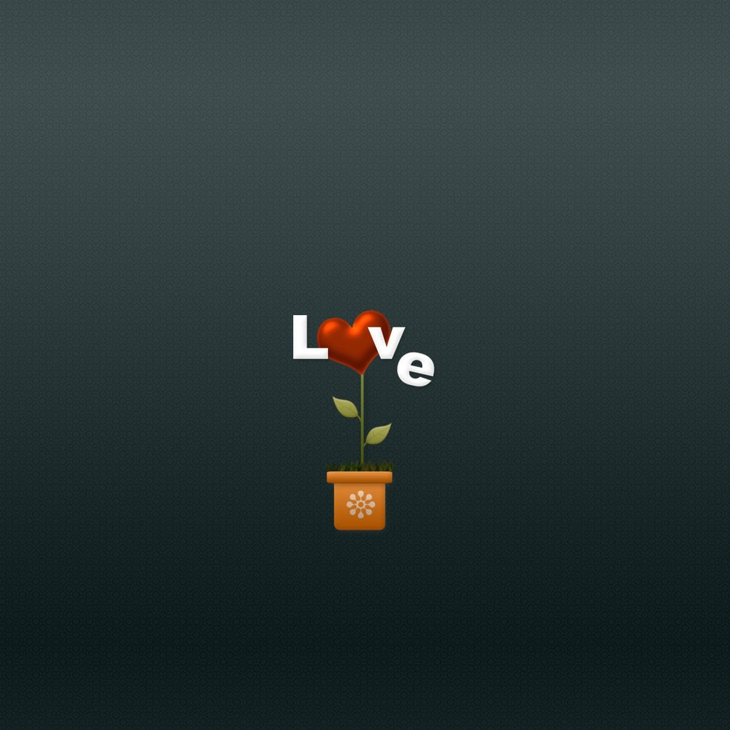 Love Flower for 1024 x 1024 iPad resolution