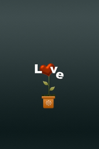 Love Flower for 320 x 480 iPhone resolution