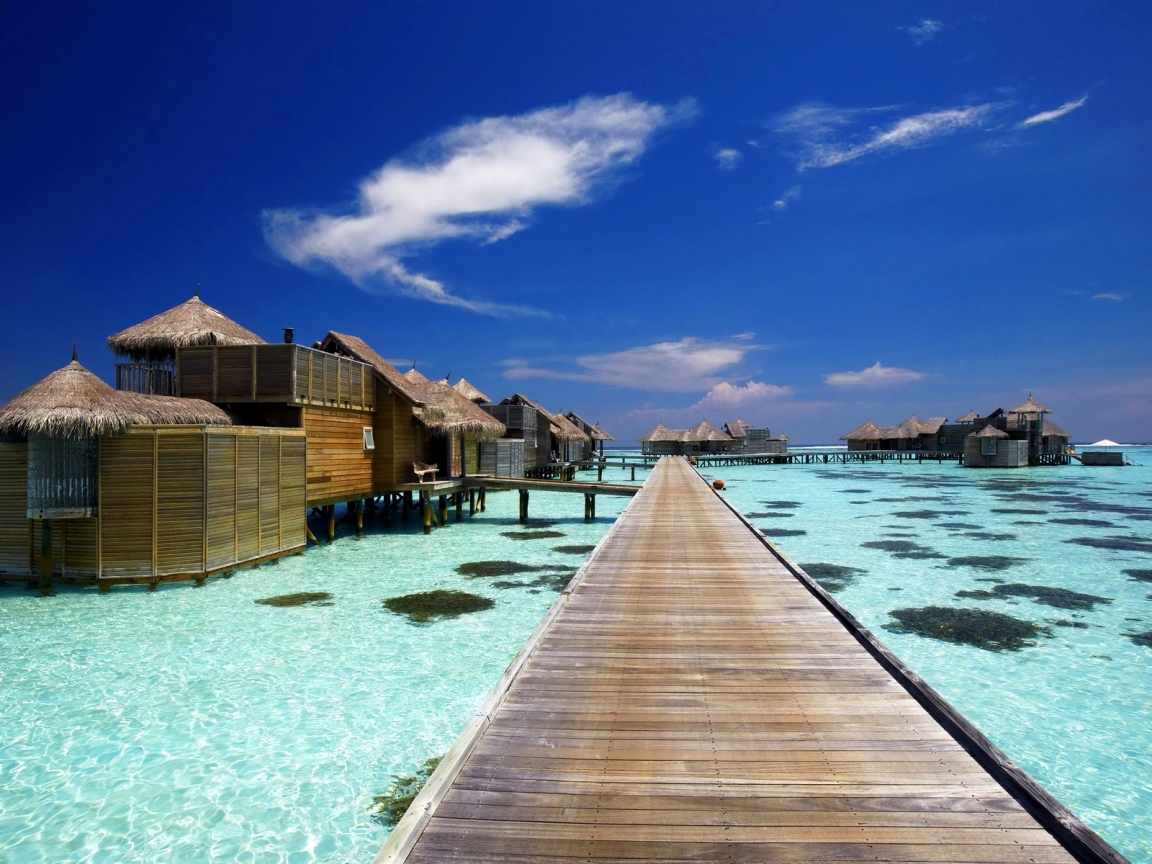 Luxury Resort in Maldives for 1152 x 864 resolution
