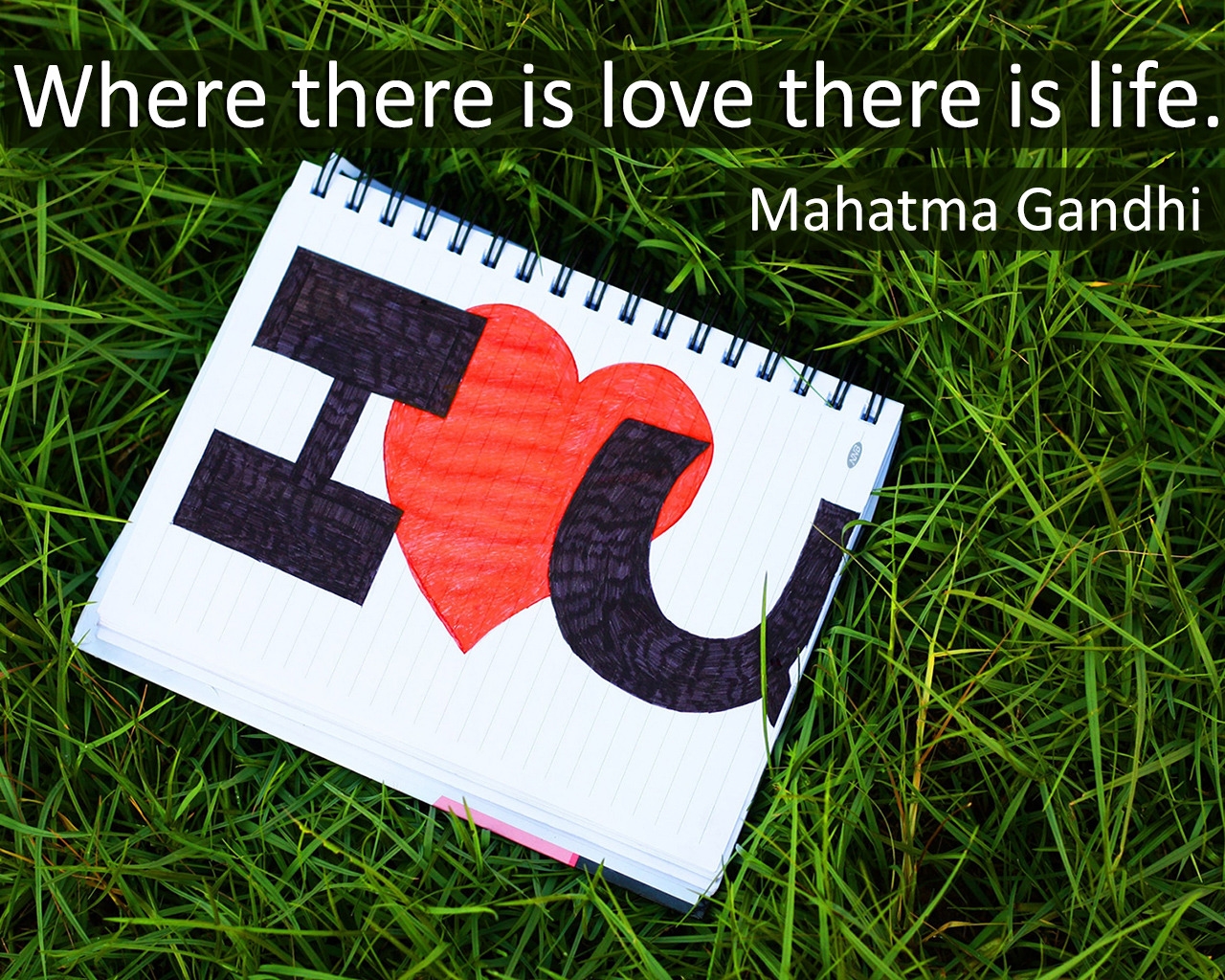 Mahatma Gandhi Love and Life for 1280 x 1024 resolution
