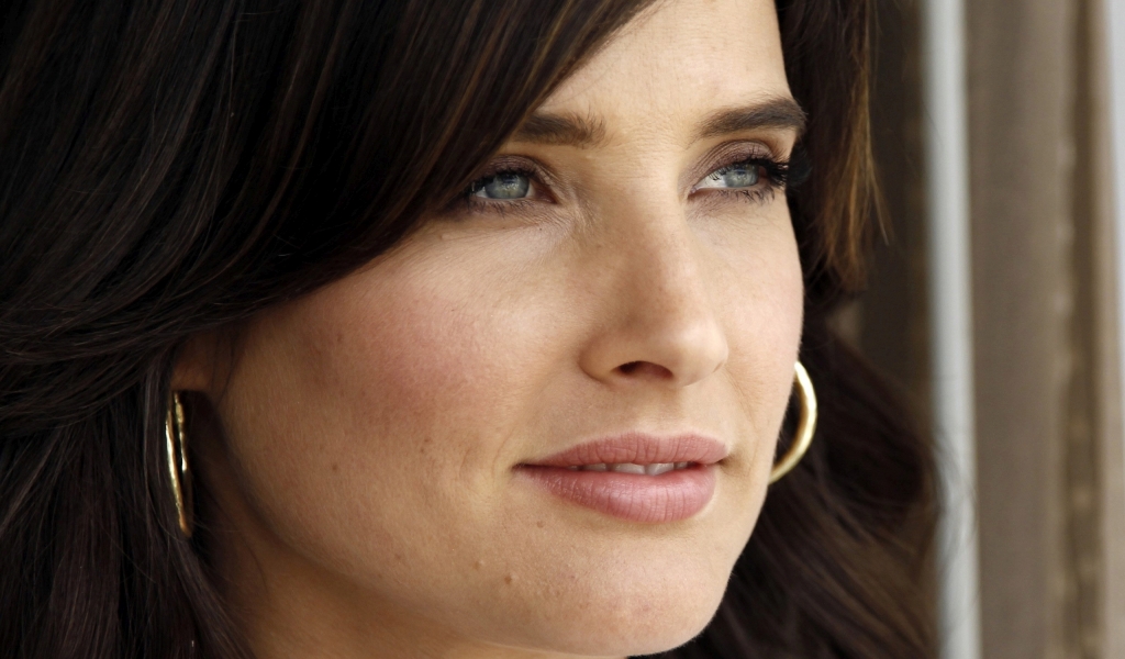 Mature Cobie Smulders for 1024 x 600 widescreen resolution
