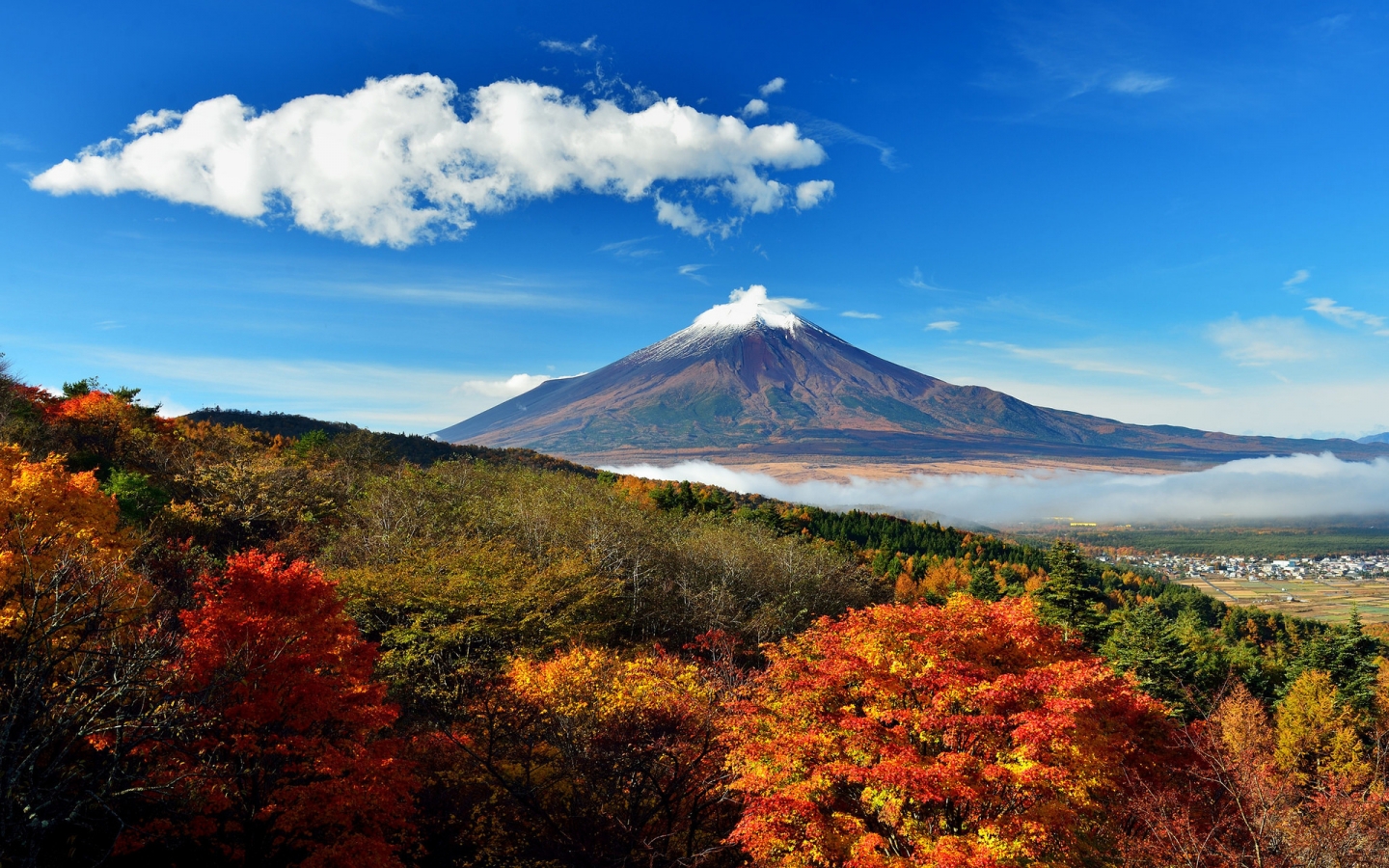 Mount Fuji Japan for 1440 x 900 widescreen resolution