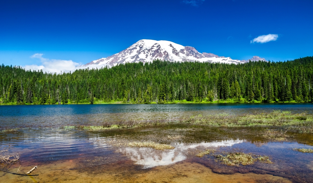 Mount Rainier National Park for 1024 x 600 widescreen resolution