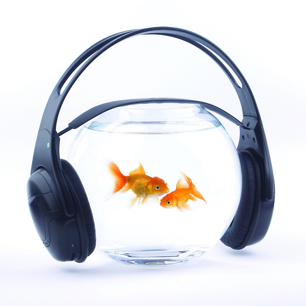 Music for Fishes for 1024 x 1024 iPad resolution