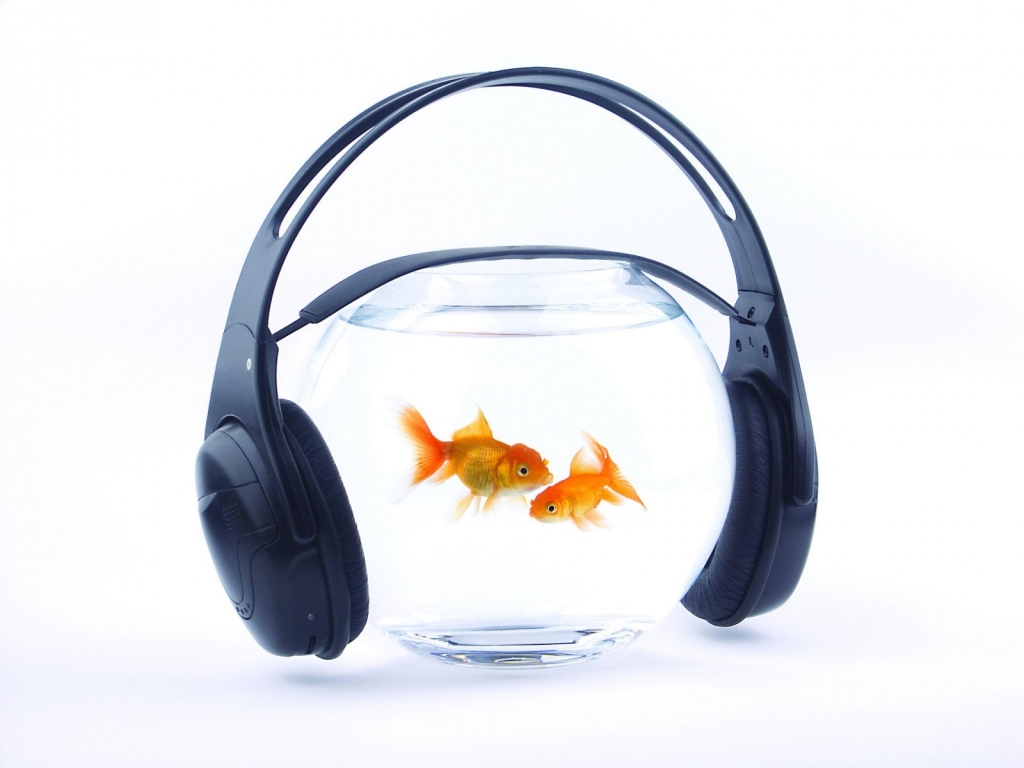 Music for Fishes for 1024 x 768 resolution